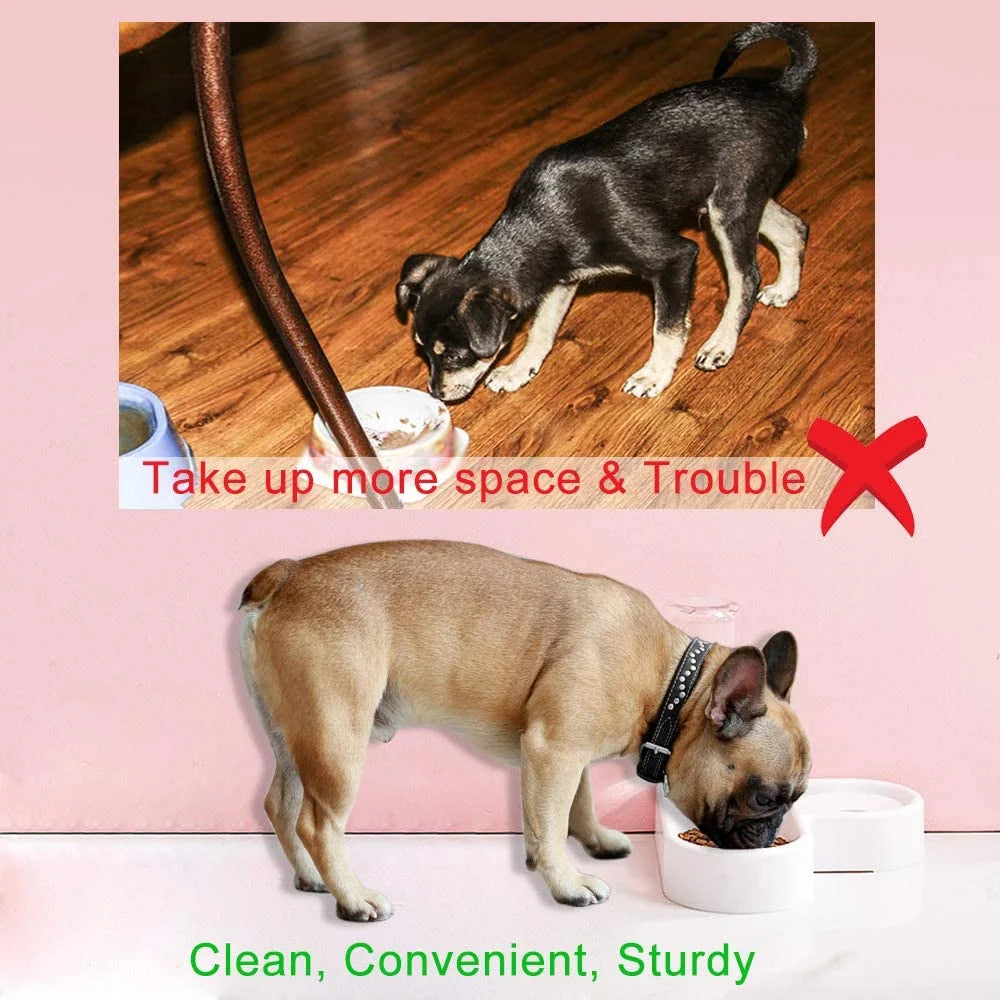 Pet Bowl Puppy Home Automatic Water Dispenser Cats Dogs Easy Clean PP Food Dish